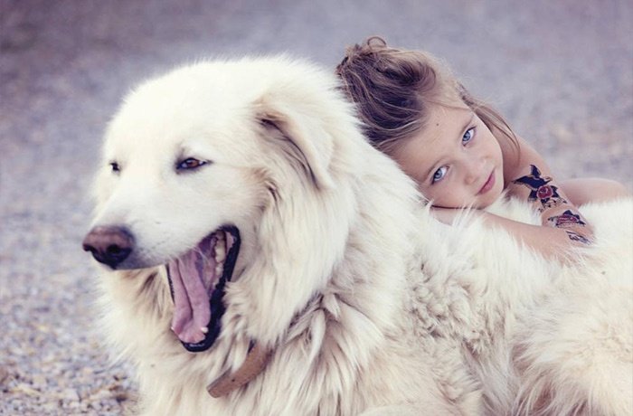 Beyaz bir köpeğe sarılan kız çocuğu